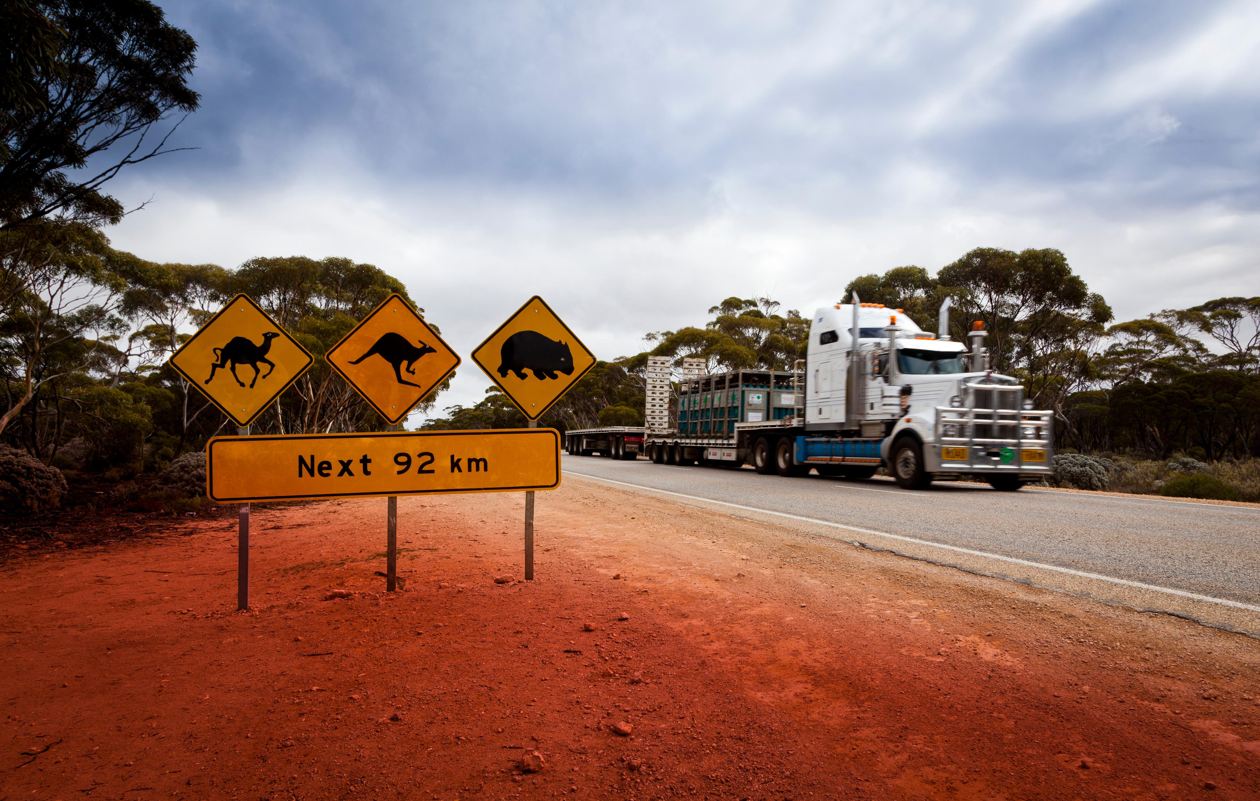 Poloviční daň a veřejná doprava zdarma. Drahý benzín začala řešit i Austrálie