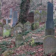 Zachovalo se přes dvě stě náhrobních kamenů s epitafy v hebrejštině, němčině a češtině. 