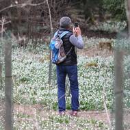 Někteří návštěvníci národní přírodní rezervace Ransko nerespektují značení a vstupují přímo k rozkvetlým bledulím.