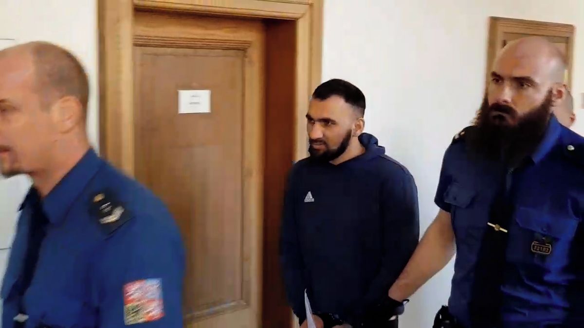 Za vraždu seniorky, která mu na Kolínsku poskytla dočasný domov, dostal Řek 17 let