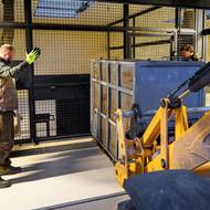 Příjezd dvojice zabavených lvic do Zoo Zlín