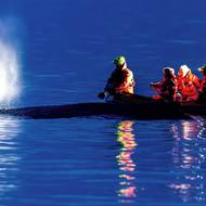 První pokusy dostat keporkaka zpět do větší hloubky selhaly.