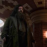 Nick Frost jako Hagrid
