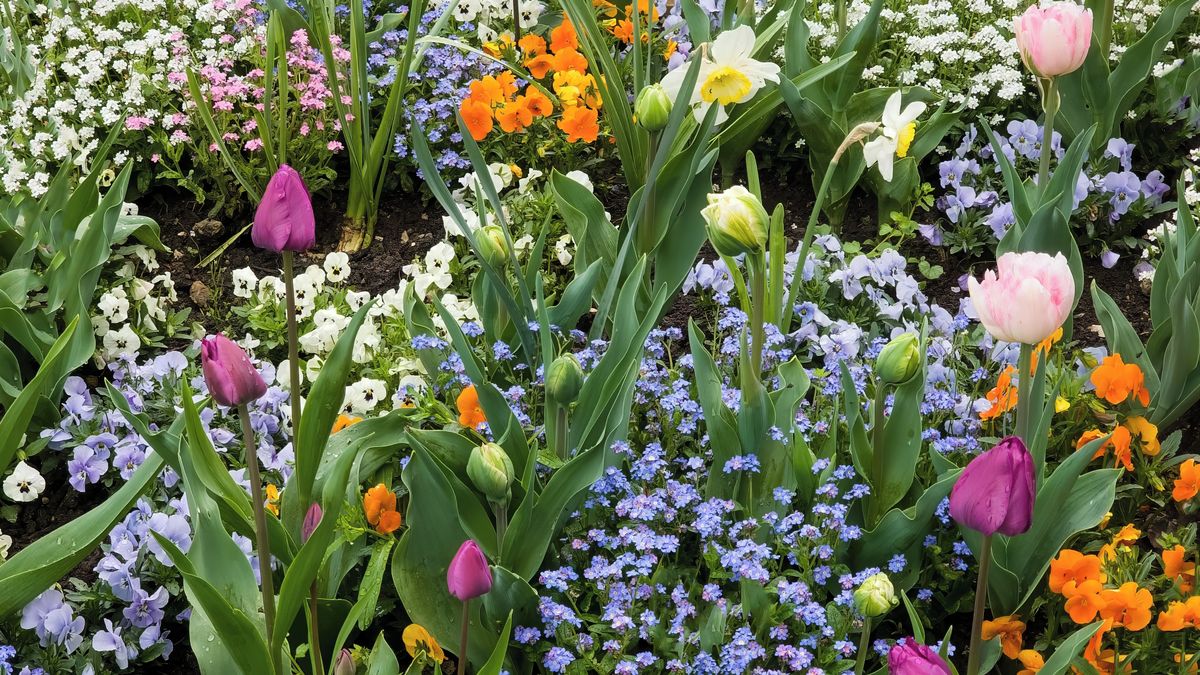 Tři kroky, díky kterým budou záhony na jarní setí a sázení dokonalé