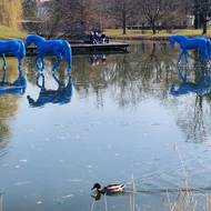 S trochou nadsázky nyní v jezírku žijí ryby, kachny, nutrie a koně.
