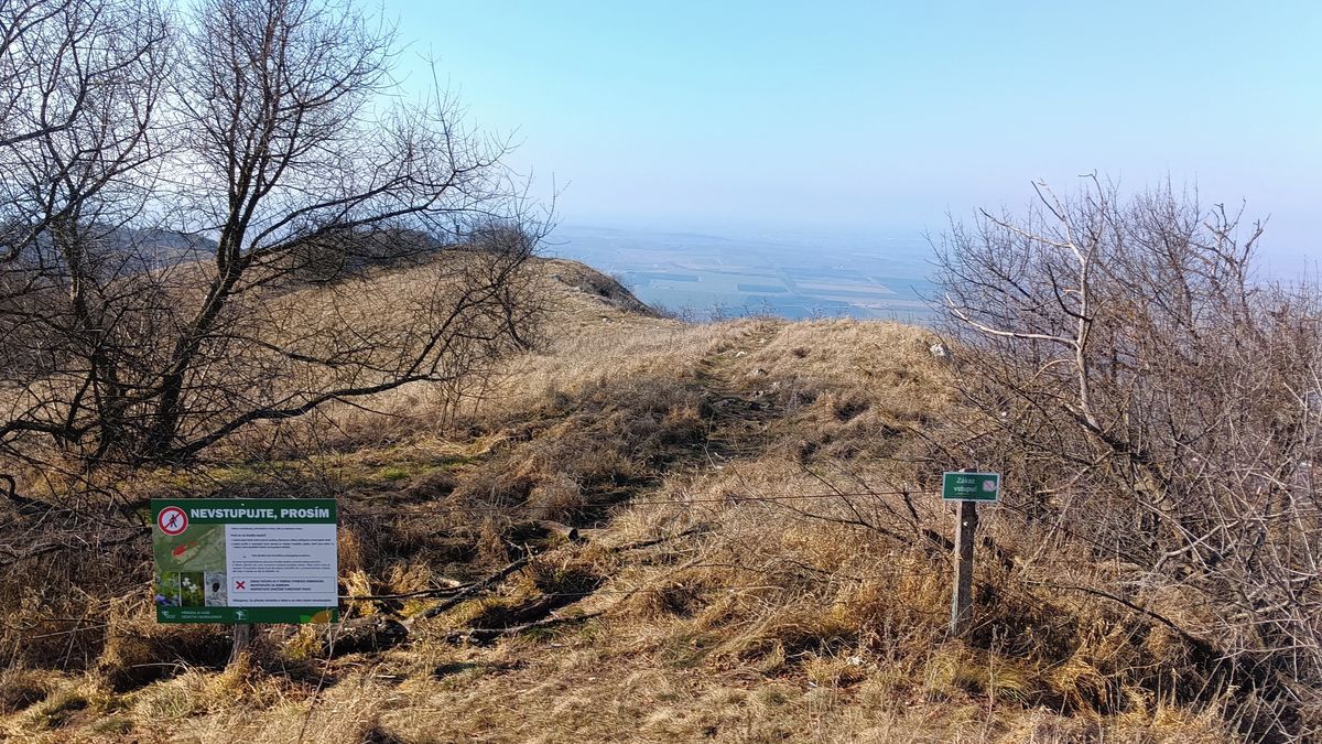 Nová cedule na Pálavě připomíná zákaz vstupu na vzácnou skalní step