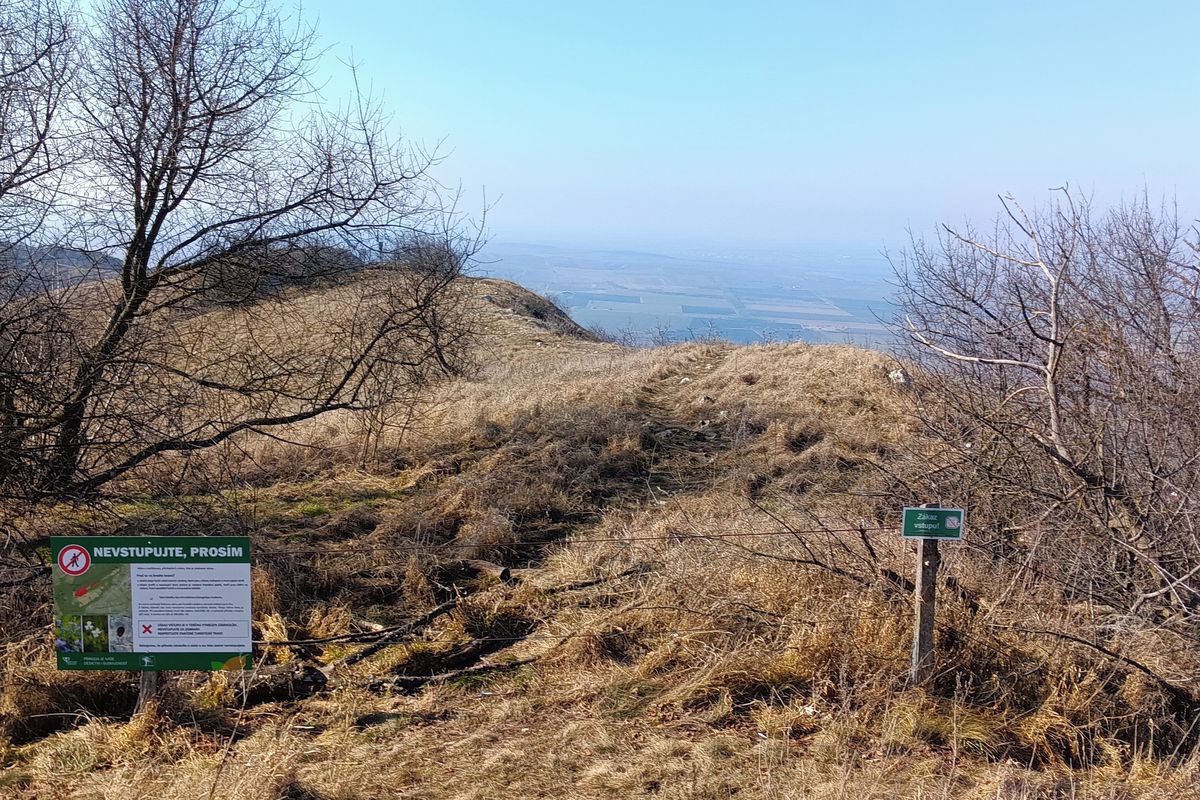 Nová cedule na Pálavě připomíná zákaz vstupu na vzácnou skalní step
