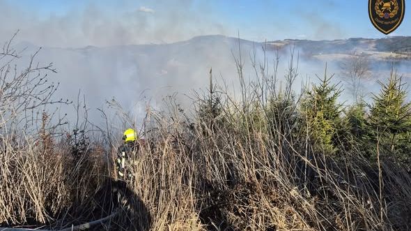Hasiči na Kroměřížsku likvidovali požár lesa v těžko přístupném terénu