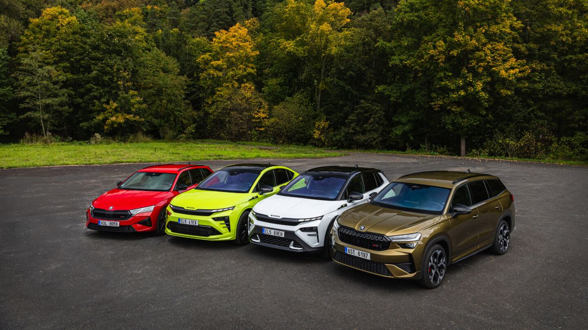 KVÍZ: Sportovní škodovky s logem RS existují již 52 let. Jak dobře je znáte?