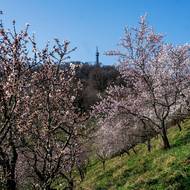 ... jen je to trochu do kopce. 