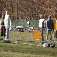 Výcvik psů v organizaci Helppes probíhá i v několika prostředích, včetně venkovního výběhu. 