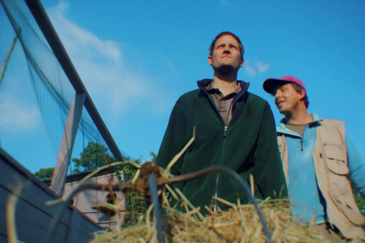 Ovce žerou první. Do kin míří první česká (de)motivační komedie