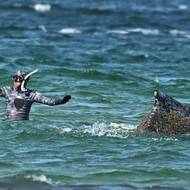 Jedinečná příležitost na selfie s keporkakem. 