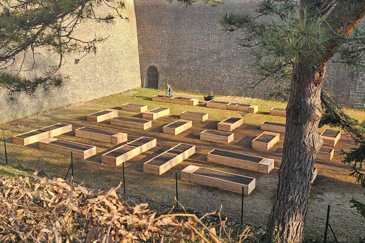 Praha má nové veřejné záhony. U hradeb Vyšehradu připomínají hroby 