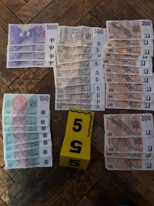 Hai người buôn bán ma túy bị bắt tại Teplice trong cùng một ngày