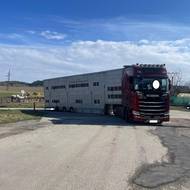 Kamion vezl skot na jih Evropy