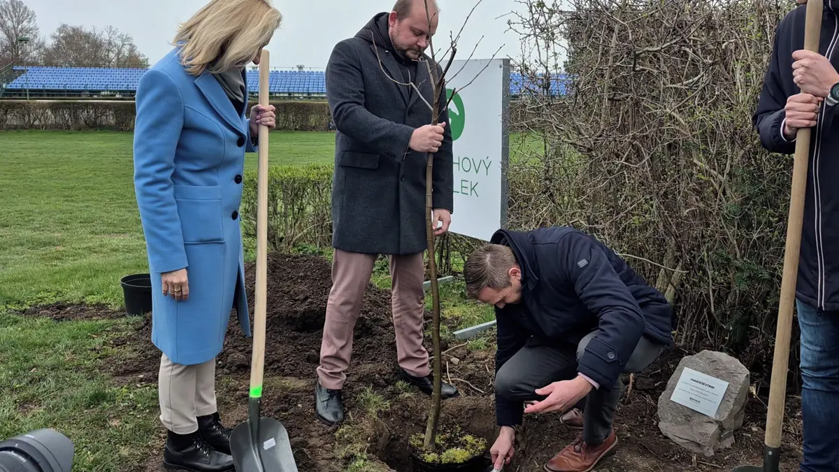 Trasa dostihů vedla i za tribunami. Pardubické závodiště slaví 170 let