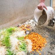 Na uvítanou mu dvorští chovatelé připravili bohatou hostinu.