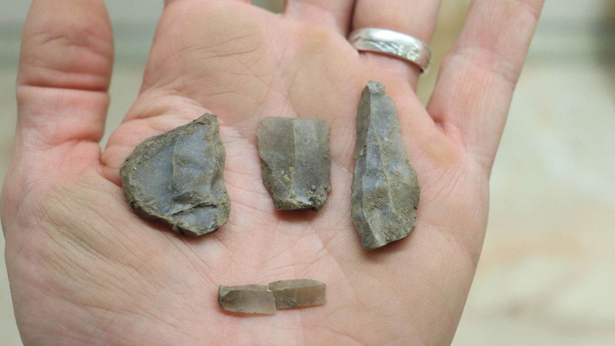 Šalinou až do pravěku. V Brně se na stavbě kolejiště našly střepy z doby kamenné