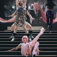 Diváci se mohou setkat s mimořádnou fyzickou virtuozitou i s disciplínami, které jsou na českých scénách stále výjimečné, například hair hanging, slack rope, chinese pole, straps, single point dance trapeze nebo cloud swing.