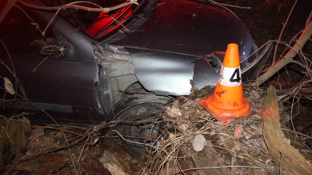 Opilý mladý řidič zdemoloval v Olomouci auto nárazem do pařezu