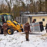 Transport mladého tygra ussurijského ze Zoo Zlín do Portugalska