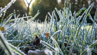 Vracejí se mrazivá rána