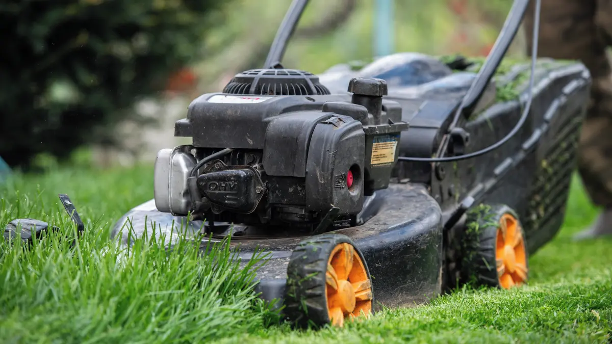 Obecní zaměstnanec v Sasku narazil při sekání trávy na cihly zlata. Majitele nenašli