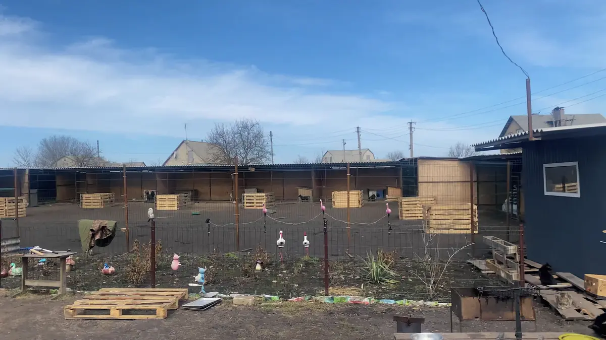 Aljona stihla utéct před ruskými bombami i se 150 zvířaty