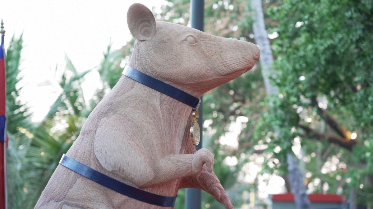 V Kambodži vztyčili sochu hrdinské kryse