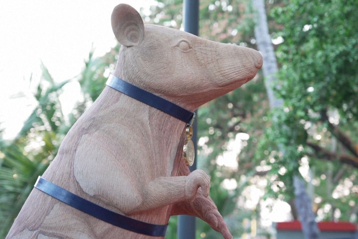 V Kambodži vztyčili sochu hrdinské kryse