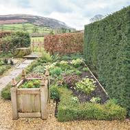  V okrasných záhonech kvetou čemeřice v hustých chumlech a hmyzí mlsouni mají posvícen.