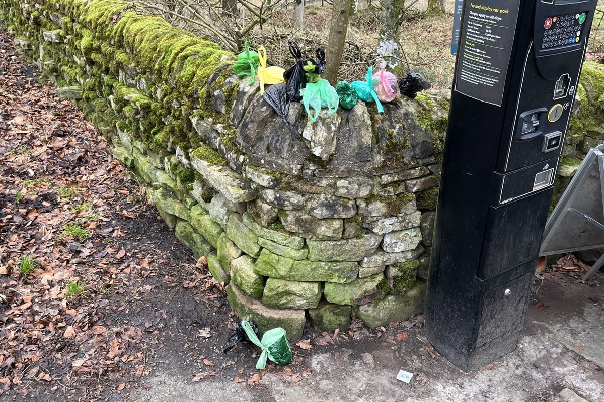 Hadriánův val znečišťují pejskaři. Do spár strkají sáčky s exkrementy