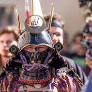 Pražské hanami nabízí návštěvníkům především to, co je pro tento svátek typické i v Japonsku – piknik pod rozkvetlými stromy.