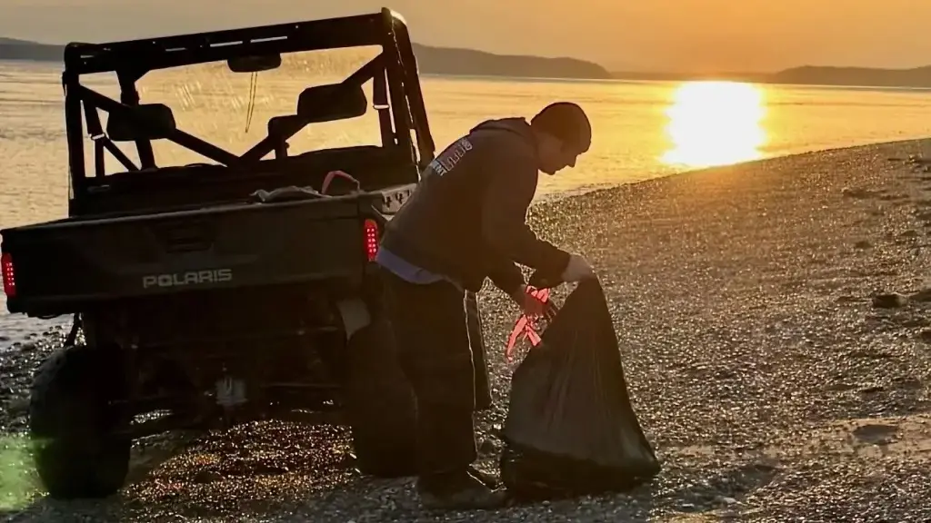 Hororový psí ostrov u Seattlu. Moře vyplavilo už přes dvacet zohavených psích mrtvol, nikdo neví, odkud se berou