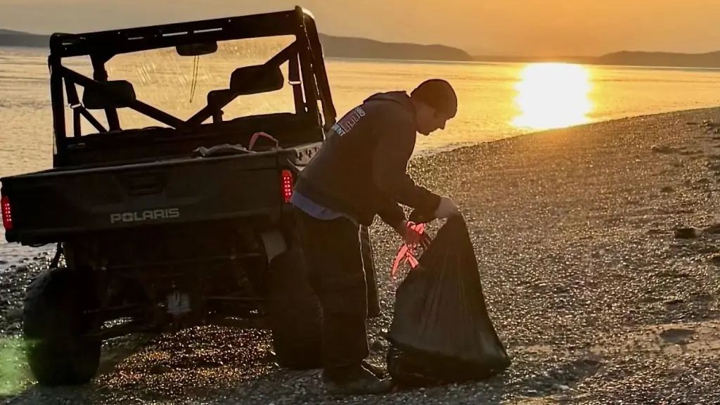 Hororový psí ostrov u Seattlu. Moře vyplavilo už přes dvacet zohavených psích mrtvol, nikdo neví, odkud se berou