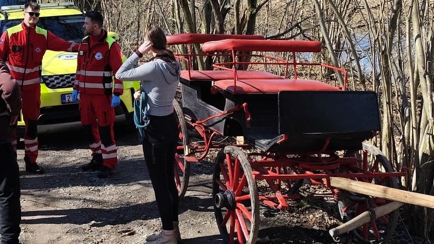 Na Opavsku se splašil kůň, muž po pádu z povozu skončil v bezvědomí