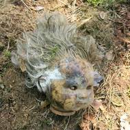 Hlavička panenky z orlího hnízda 