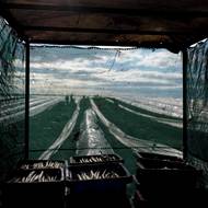 Plánují, že v následujících týdnech sklidí přibližně 270 tun „českého zlata“. 