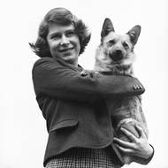 Milované plemeno welsh corgi. Během svého života jich královna měla přes třicet.