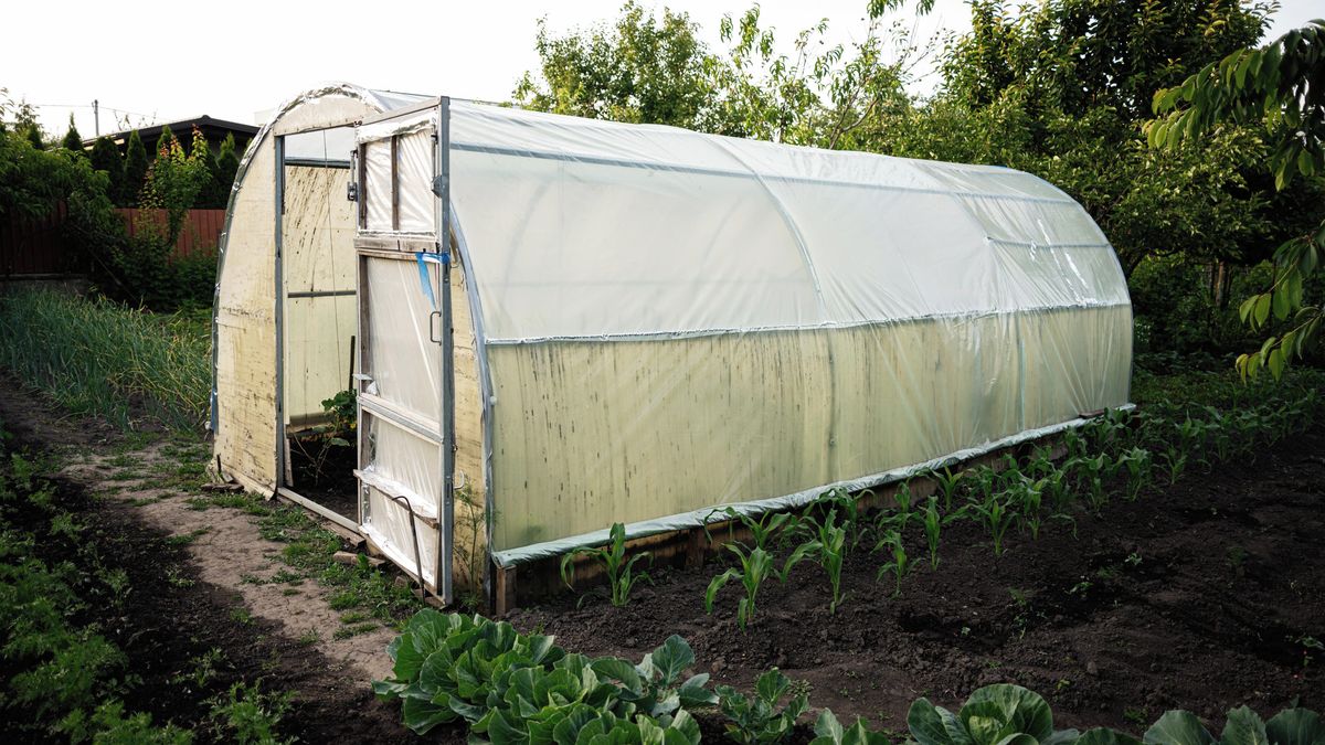 Chcete časnější sklizeň? Nejvyšší čas na postavení fóliovníku