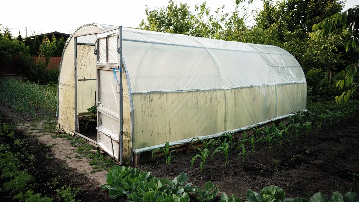 Chcete časnější sklizeň? Nejvyšší čas na postavení fóliovníku