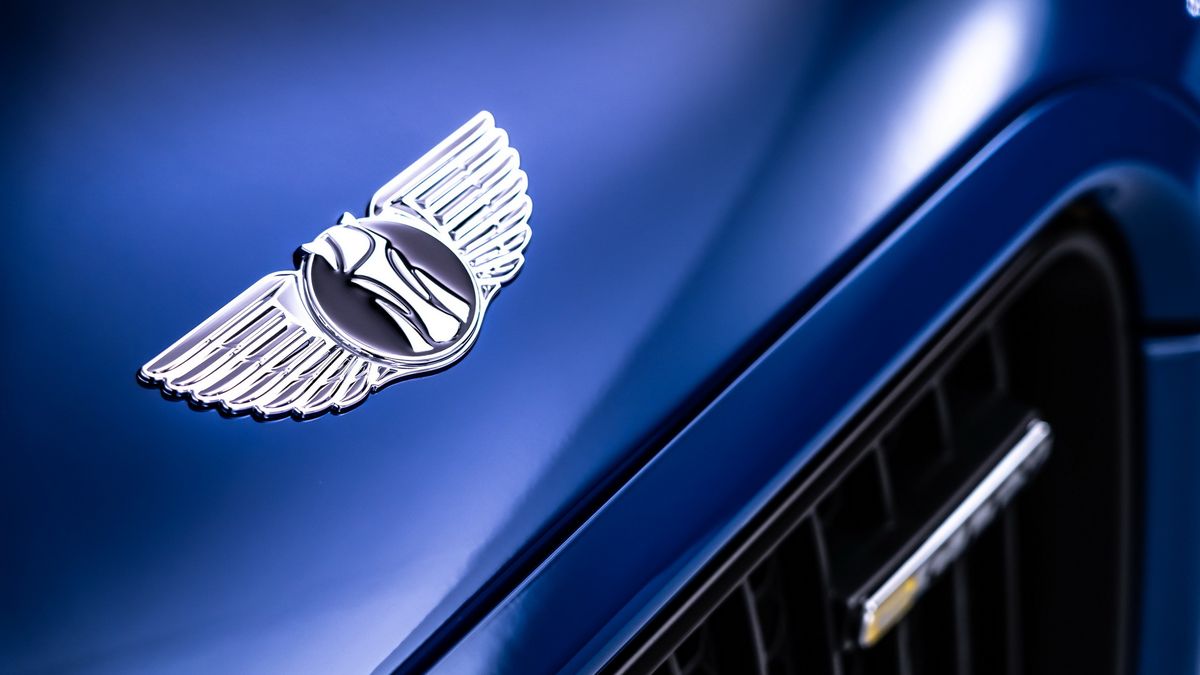 Aston Martin žaluje svého čínského akcionáře kvůli podobnému logu