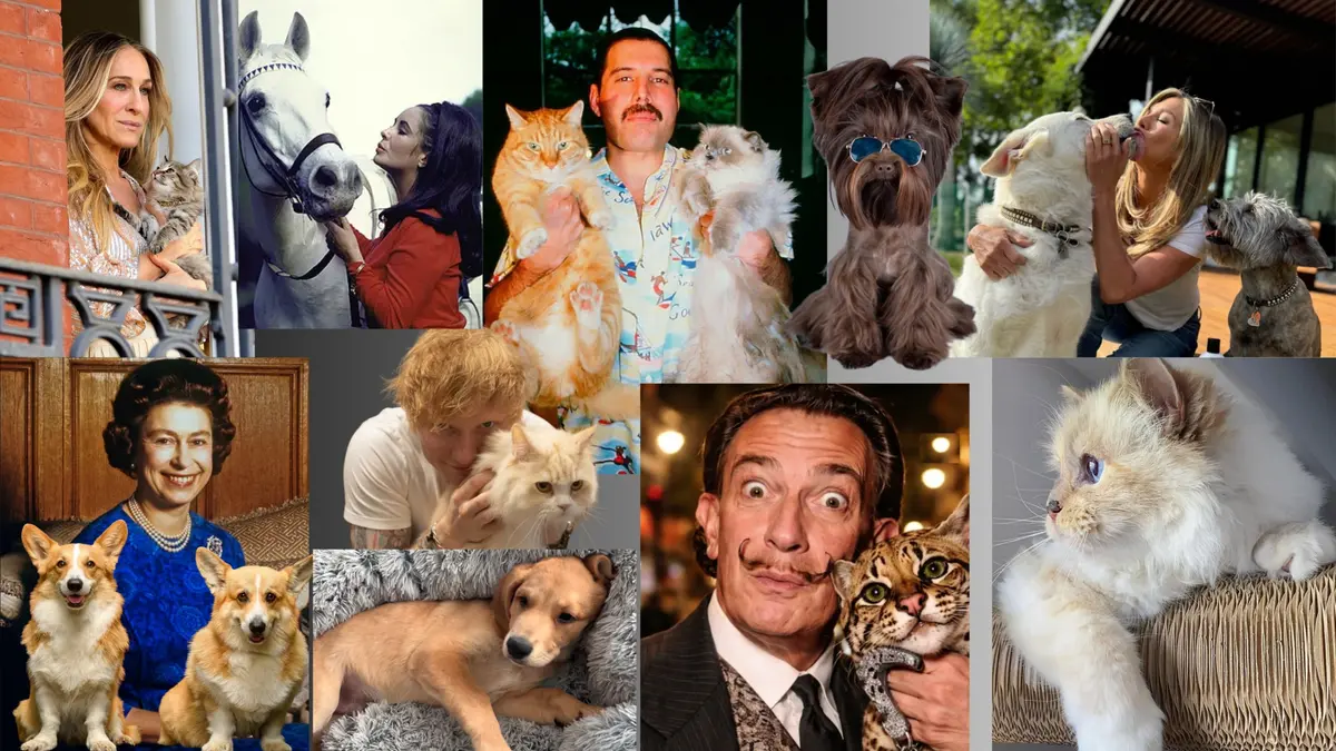 KVÍZ: Znáte slavné mazlíčky a jejich „rodiče“?