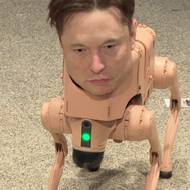 Robotický pes s hlavou Elona Muska