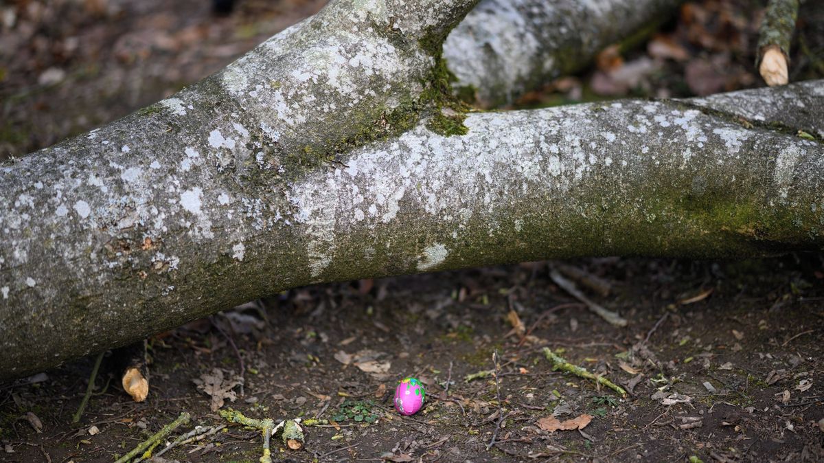 Padající strom zabil v Německu tři lidi včetně desetiměsíční holčičky při hledání velikonočních vajíček
