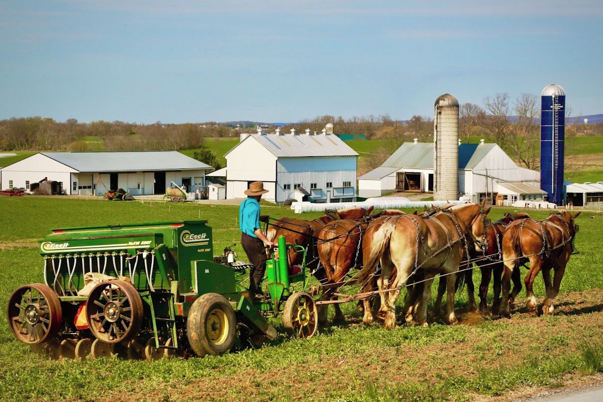 Vědci z Brna popsali příčinu vzácného genetického onemocnění u amerických amišů