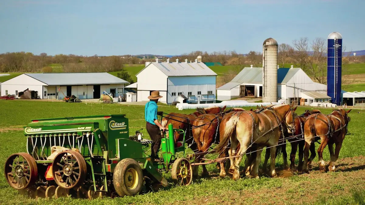 Vědci z Brna popsali příčinu vzácného genetického onemocnění u amerických amišů