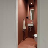 Toaleta se odlišuje: je kompletně v cihlovém odstínu.