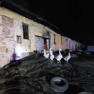 Hasičům se podařilo zachránit většinu chovaných zvířat